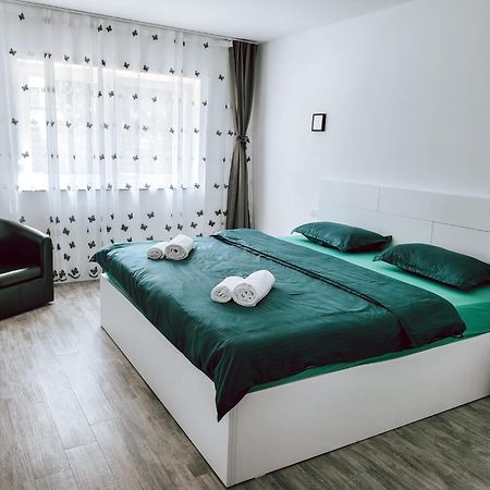 Cosy Apartment Făgăraş מראה חיצוני תמונה